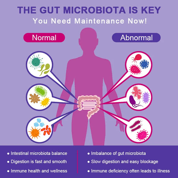 Probiotic Metabolism Booster™